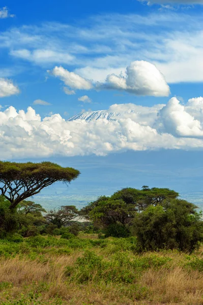 Prachtig Uitzicht Majestueuze Berg Kilimanjaro Gezien Vanaf Nationaal Park Amboseli — Stockfoto