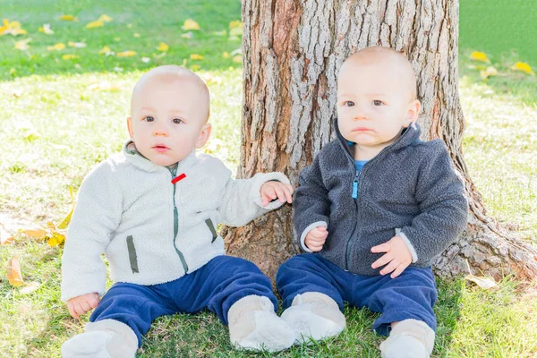 Niños gemelos sentados cerca del tronco del árbol — Foto de Stock