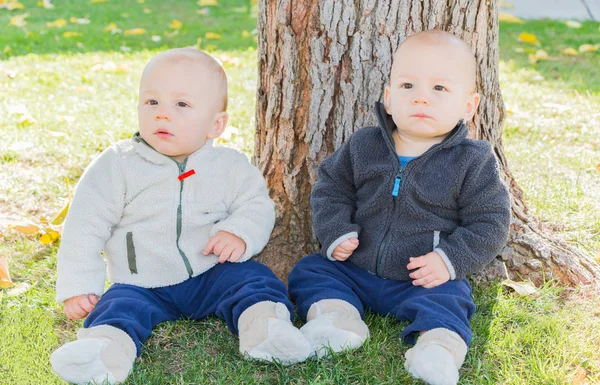 Niños gemelos sentados cerca del tronco del árbol — Foto de Stock