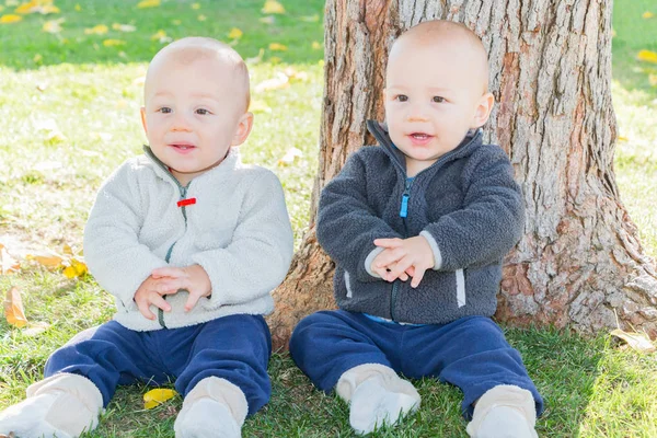 Niños gemelos sentados cerca del tronco del árbol — Foto de Stock