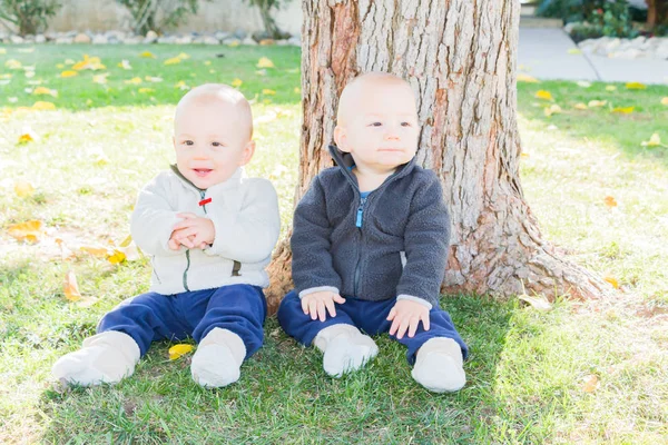 Twin Toddlers sentado perto da árvore tronco — Fotografia de Stock