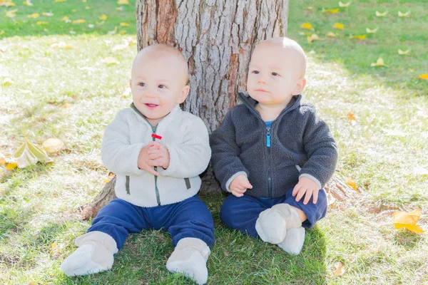 Twin kleuters zitten in de buurt van boomstam — Stockfoto