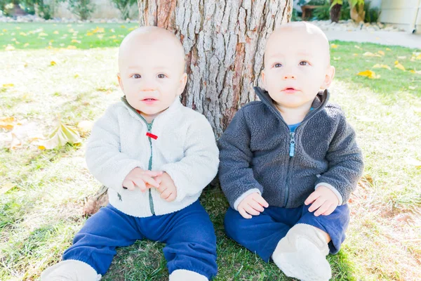 Twin Toddlers sentado perto da árvore tronco — Fotografia de Stock