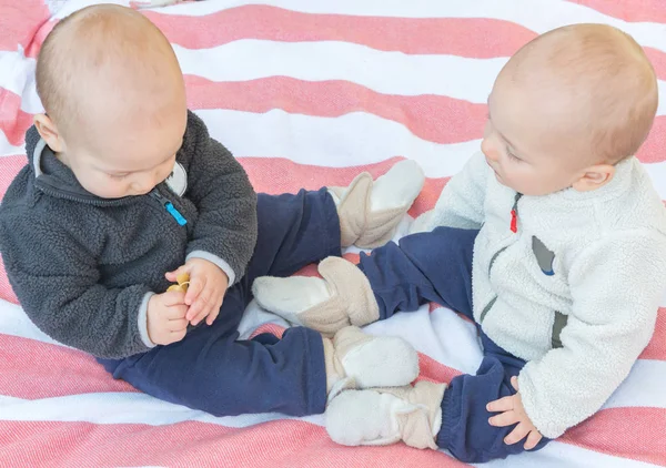 Twins Looking at a Leaf — Stock Photo, Image