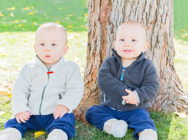 Twin kleuters zitten in de buurt van boomstam — Stockfoto