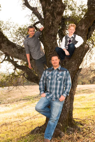 Father Standing With Sons up in The Oak Tree