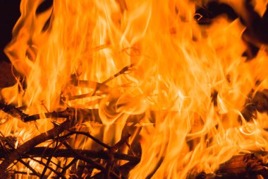 Dalları içinde şenlik ateşi yakma