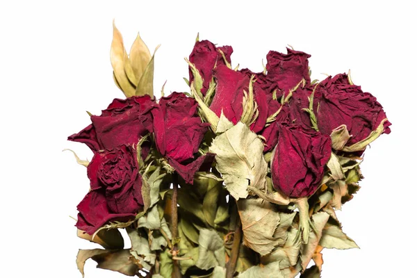 Букет ярко-красных роз — стоковое фото