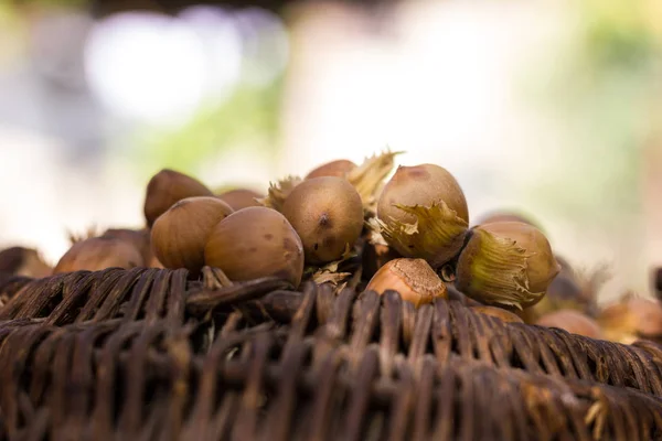 Un cesto di nocciole tostate invitante — Foto Stock