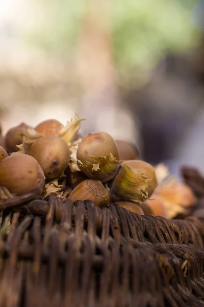 A basket of toasted hazelnuts inviting — Stock Photo, Image