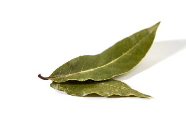 defne yaprağı üzerinde beyaz izole