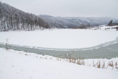 Göl donmuş ormanda kış