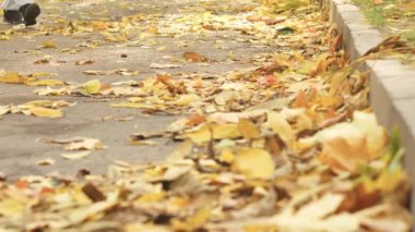 Genç adam sarı sonbahar Park'ta yürüyüş bırakır, kamera sabitleyici atış