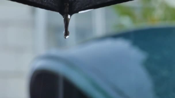 Pluie goutte à goutte et éclaboussures de dispersion dans la cabine téléphonique gros plan — Video