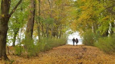 Genç model kaç aşk - sonbahar park doğa - çift erkek ve kadın park - - adam - iki öpücük - çift kucaklamak için kadın çalışır - mutlu çift ağır çekim elele çift yürüyüş içinde