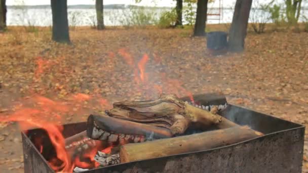 Quemando leña y carbón en el brasero. Cook utiliza el poker para preparar el shish kebab barbacoa y carne a la parrilla y pescado bajo la lluvia. Iluminando la leña con papel. Humo y fuego en una pequeña parrilla portátil . — Vídeos de Stock