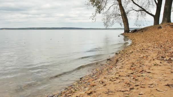 La orilla de un gran lago y la ola que rueda lentamente en la arena con hojas amarillas en cámara lenta . — Vídeo de stock