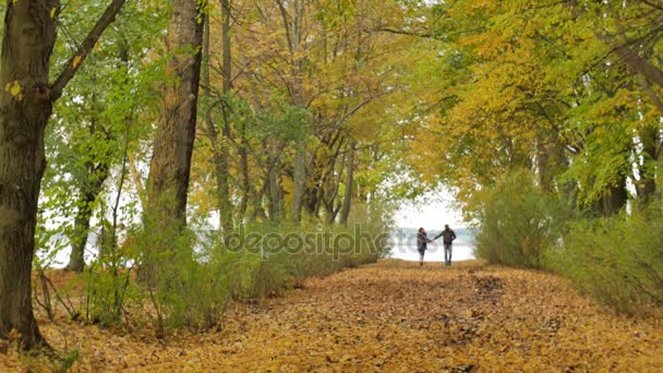 Para młoda modelu w miłości - jesień natura park - Para mężczyzna i kobieta spaceru w parku - para trzymając się za ręce - kobieta biegnie do człowieka - para kiss - para uścisk - szczęśliwa para zwolnionym tempie — Wideo stockowe