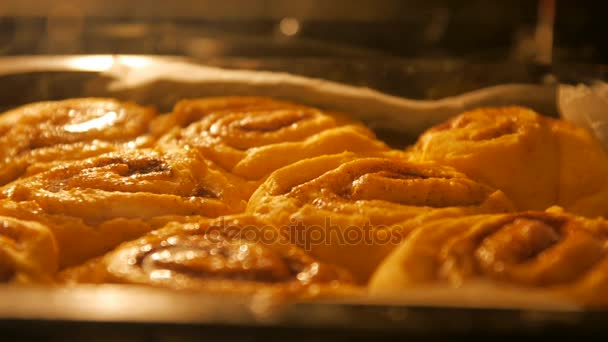Cinnabon 제빵, 선택적 초점 촬영의 시간 경과 — 비디오