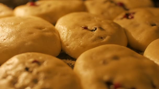 Bakken muffins met bessen vulling met deeg Selectieve focus shot van muffins bakken, time-lapse — Stockvideo