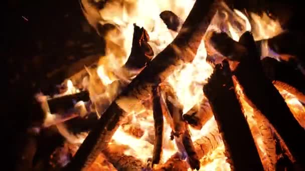 Fiamme di fuoco luogo acceso il falò notte scintille tronchi fumanti e caduta di neve primo piano colpo — Video Stock