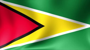 Guyana bayrak. Arka plan animasyon döngü sorunsuz. 4 k yüksek tanımlı Video.