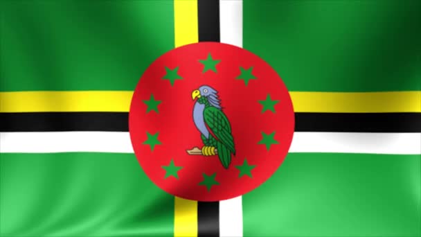 Dominica Flag. Background Seamless Looping Animation. 4K High Definition Video. — Stock Video