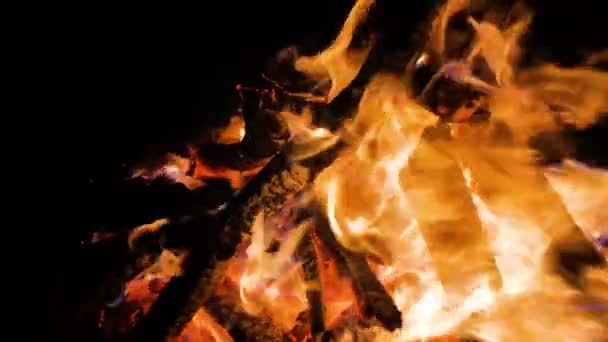 Vlammen van brand plaats verlicht het vreugdevuur nacht sparks smeulende logs en vallende sneeuw close-up shot — Stockvideo