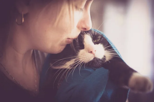 Momentos de amor entre el gato y su dueño. concepto sobre mascotas y animales — Foto de Stock