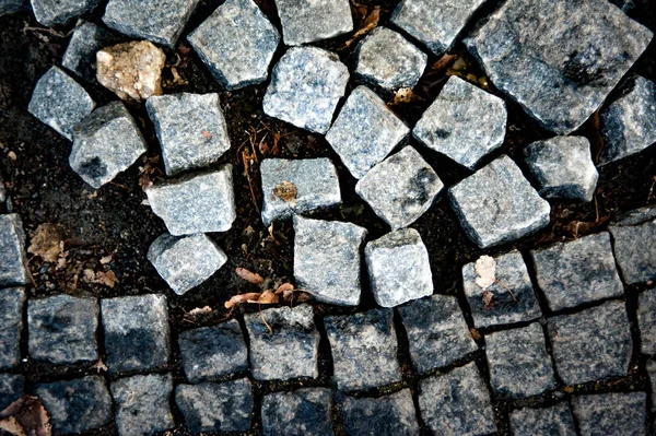 Granit küp Arnavut kaldırımlı kaldırım desen yaptı. — Stok fotoğraf