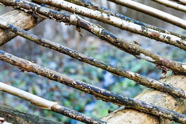 自然な背景 - 松の丸太のフェンス。大まかな生薄いマツ丸太 — ストック写真