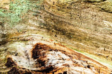 Ahşap doku arka plan lekeli ve bir kaba dokulu yüzeyi ile çekirdeksiz eski ölü odun Close-up.