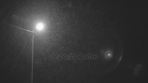 Tombé en flocons de neige en temps réel autour du lampadaire la nuit, petite neige calme, prise de vue sur fond noir, animation en boucle transparente, mat, isolé, parfait pour la composition numérique — Video