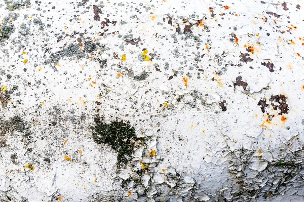 Putih tua kotor dinding putih grungy lichen material cetakan logam kasar tergores batu vintage spotte — Stok Foto