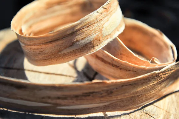 Ağaçlar güdük Yüzükler bir ürperti büyüme ile yukarıdan bükülmüş. Kavramı marangozluk ve ev yapımı