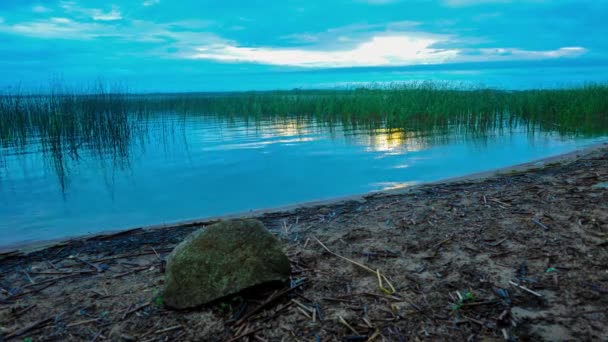 Sunrise above the forest lake. Time-lapse — Stock Video