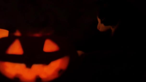 Scary pumpkin faces smiling in the dark scary pumpkin faces smiling in the dark — Stock Video