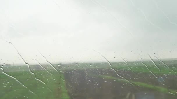 Ventana Vista desde el Bus Fondo Verde. Movimiento rápido. Concepto de viaje — Vídeo de stock