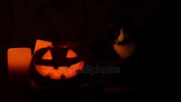Luces de calabaza de Halloween talladas en el interior con llama sobre un fondo negro con velas encendidas de cerca. lentitud — Vídeos de Stock