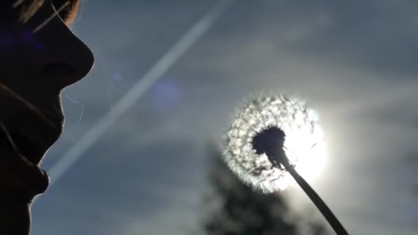 A girl blowing on a dandelion parashutiki fly out in the wind. The bright sun shines with backlight. Concept of summer fun freedom of youth — Stock Video