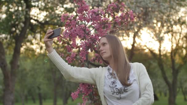 Děvče dělá selfie na zahradě. Atraktivní rusovlasá žena se usměje, když používá mobilní telefon v třešňovém sadu. Koncept používání gadgets pro zdravý životní styl. — Stock video