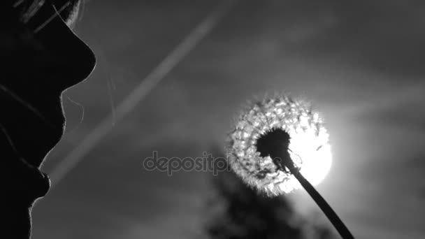 Pusteblume-Fallschirme fliegen im Wind. Ein Mädchen bläst auf einen Löwenzahn, die helle Sonne scheint im Gegenlicht. Konzept Sommerspaß Freiheit der Jugend — Stockvideo