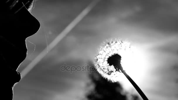 Una chica soplando en un parashutiki diente de león volar en el viento. El sol brillante brilla con la contraluz. Concepto de diversión de verano libertad de la juventud — Vídeos de Stock