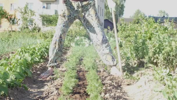 Seorang wanita dalam proses manual tanah dengan sekop mencangkul tanah dan mempersiapkan alur untuk penanaman. perempuan yang bekerja tanah di kebun rumah untuk menanam dan memproduksi sayuran organik — Stok Video