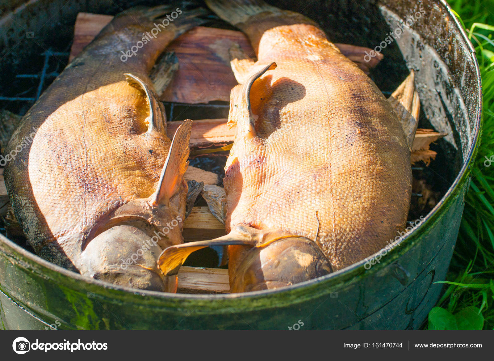 Fish Smoking Process For Home Smoked Close Up Smoking