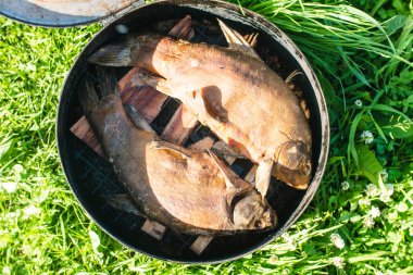 Ev kullanımı için işlem sigara balık. Füme balık. Sigara işlem yasaktır döken balıkta kadar ev kullanımı için kapatın. Açık ateşten duman