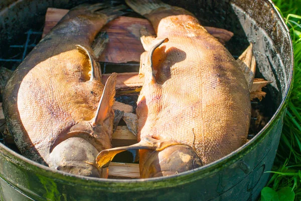 Ev kullanımı için işlem sigara balık. Füme balık. Sigara işlem yasaktır döken balıkta kadar ev kullanımı için kapatın. Açık ateşten duman