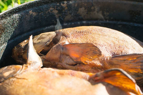 Fish Smoking Process For Home Use. Smoked fish. Close Up Smoking Process Fish In Smoking Shed For Home Use. Smoke from the open fire