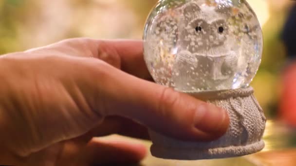 Christmas snow globe z Sowa wewnątrz trzęsie i stawia na stole ręka — Wideo stockowe