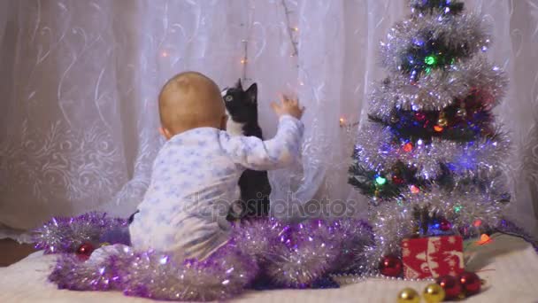 Baby im Sternenschlafanzug vor dem Hintergrund eines Weihnachtsbaums spielt mit einer Katze. 4k Zeitlupe Schnellschuss — Stockvideo